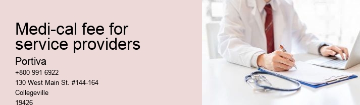 medi-cal fee for service providers
